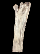 A close-up image of a beige-colored hackberry wood slab with heavy spalting and a prominent live edge, featuring some insect bore holes.