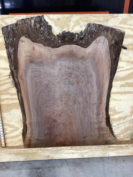 A close-up image of a walnut slab with a tiger-striped figure, indicating the natural grain of the wood. Against a plywood background.