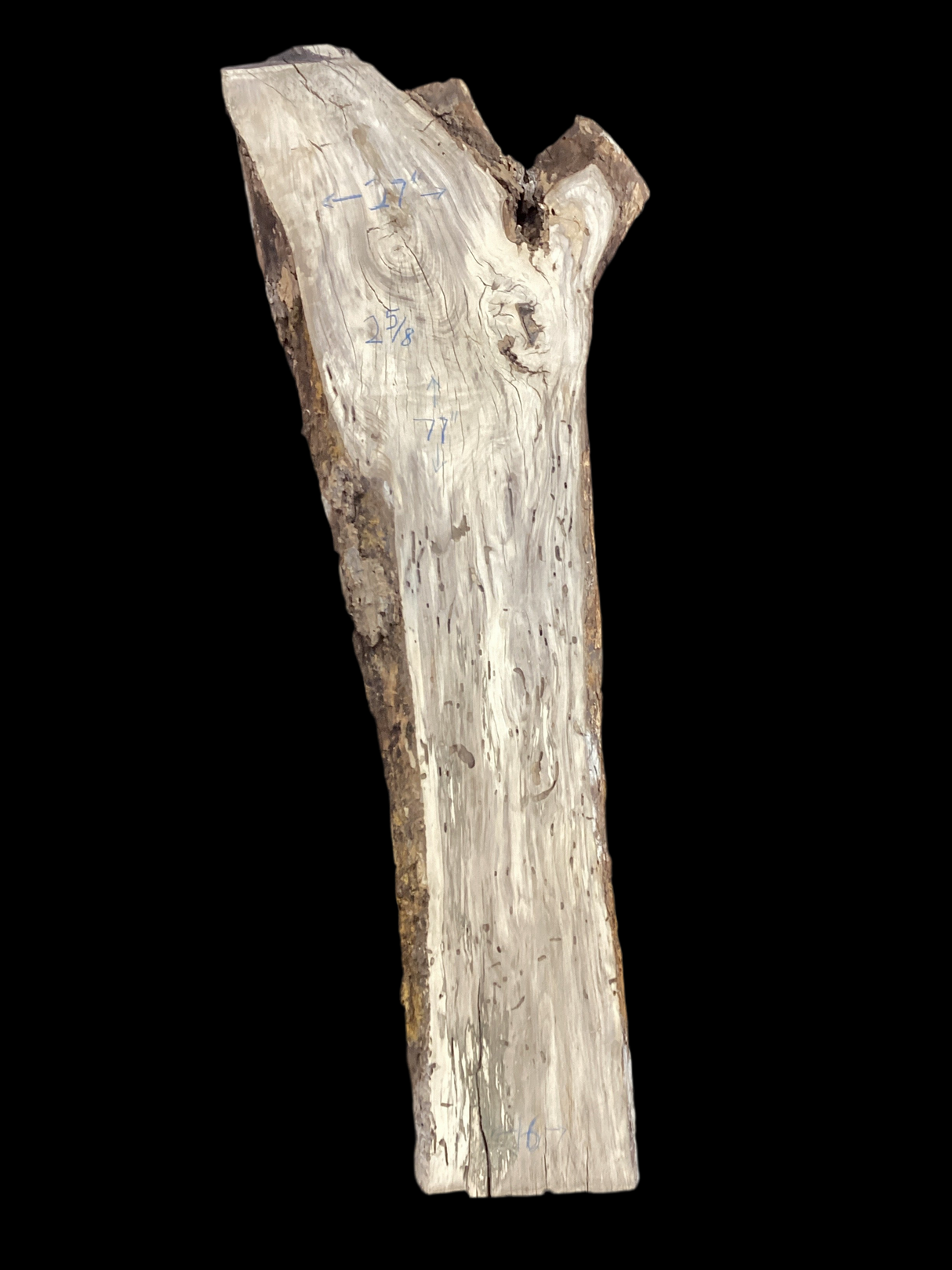 A close-up image of a beige-colored hackberry wood slab with heavy spalting and a prominent live edge, featuring some insect bore holes.