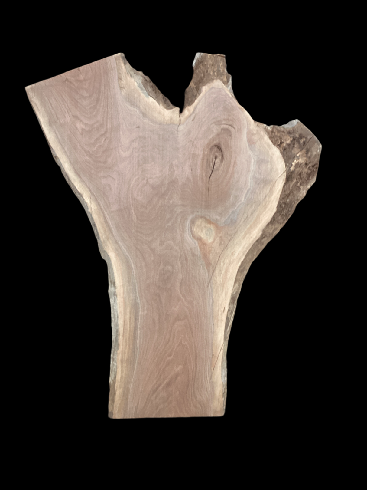 Walnut Slab 2194