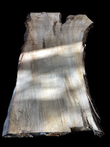 A silver maple wood slab with some natural edges and a beige color tone, positioned on a concrete surface with a shadow falling over it.