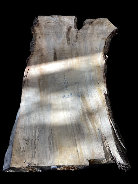 A silver maple wood slab with some natural edges and a beige color tone, positioned on a concrete surface with a shadow falling over it.