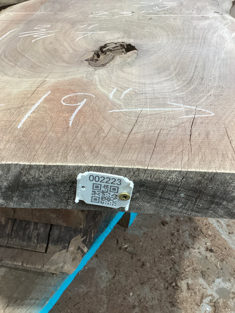 A walnut slab with visible wood grain and knots, marked with a measurement '19' and a QR code tag.
