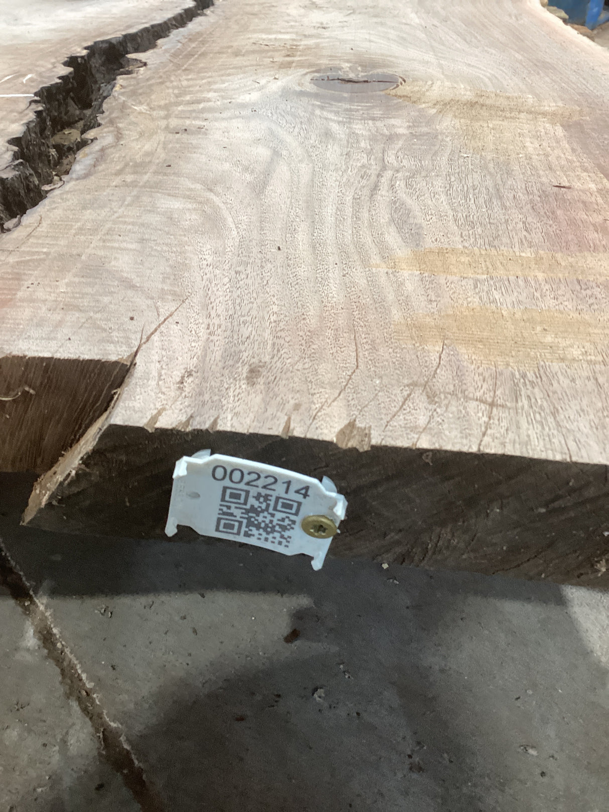 A walnut wood slab with a visible ingrown bark crevice, marked with a tag that includes a QR code and identification number.