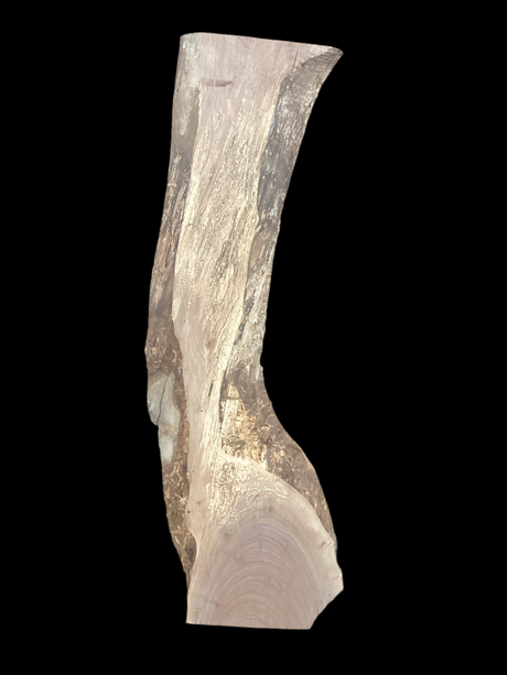 Large walnut wood slab with a black background.