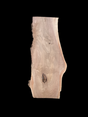 A large walnut slab with a black background.