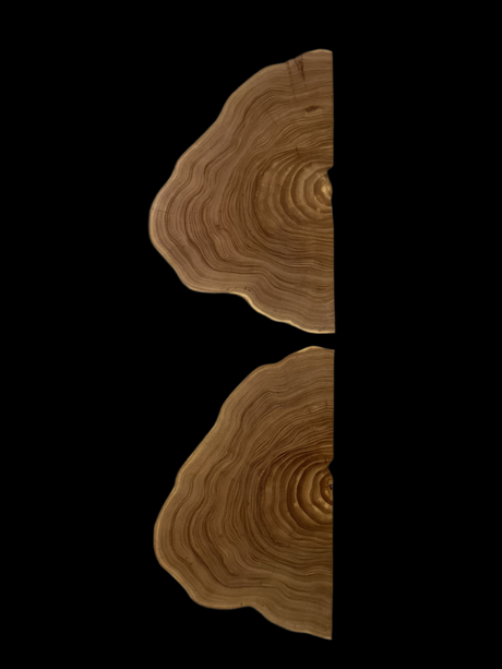 Two half circular wooden wall hanging art piece with a rustic finish and a black background.